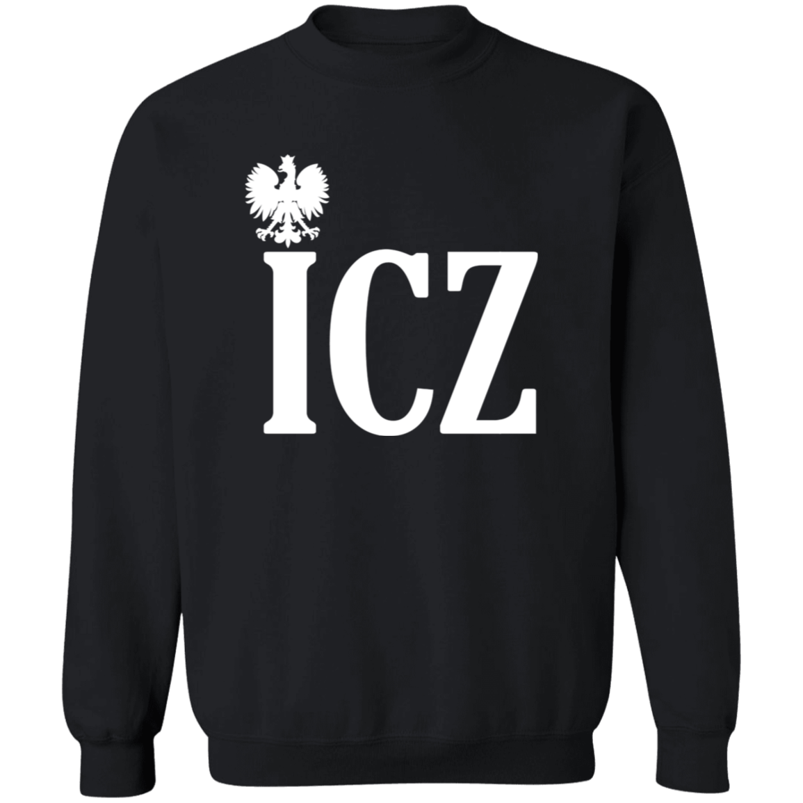 ICZ Polish Surname Ending