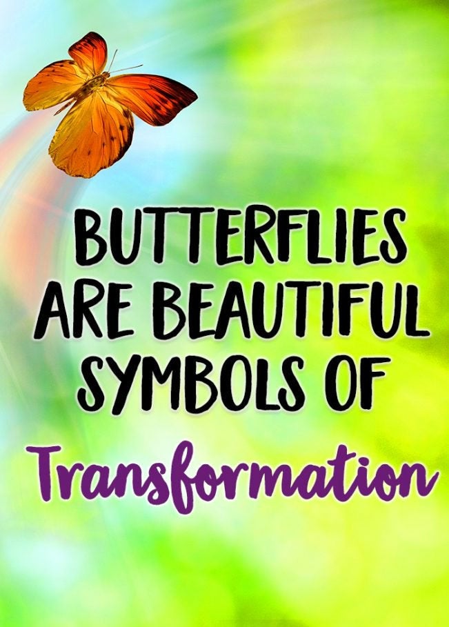 Courtney Butterfly Necklace