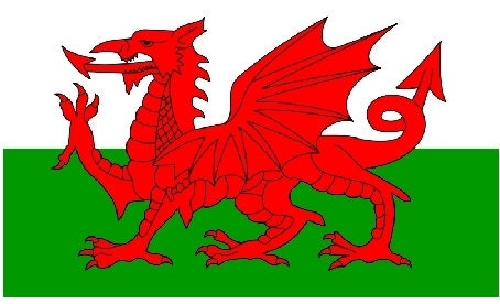 Welsh Dragon Band Ring