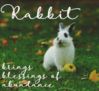 Spring Blossom Rabbit Art Earrings