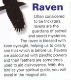 Birget Celtic Raven Necklace in Sterling Silver