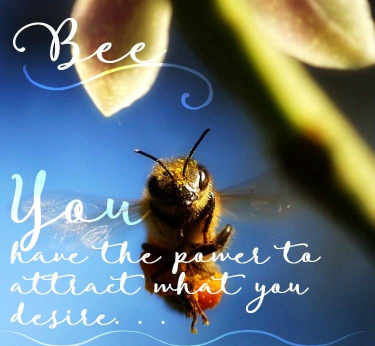 Realistic Bee Brooch in Sterling Silver