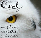Regal Owl Necklace in Sterling Silver