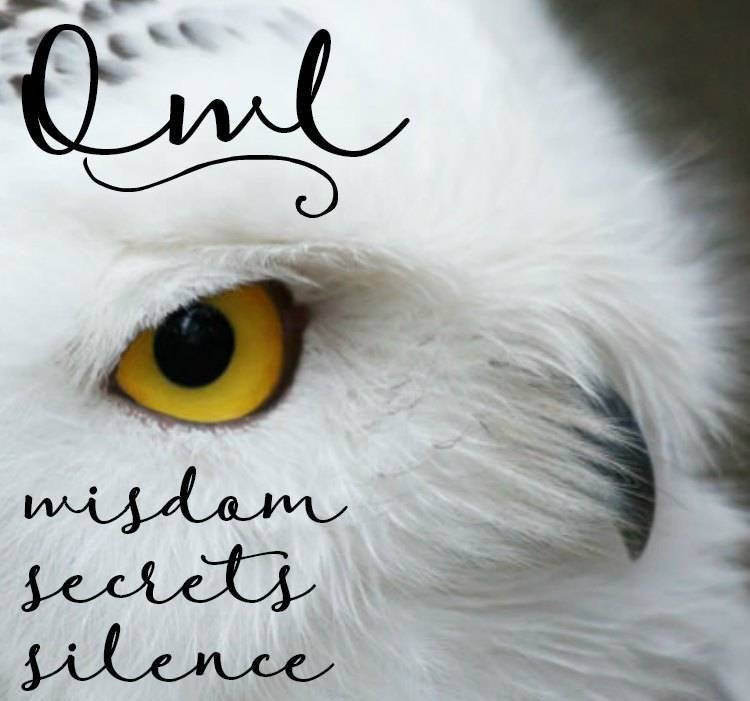 Regal Owl Necklace in Sterling Silver