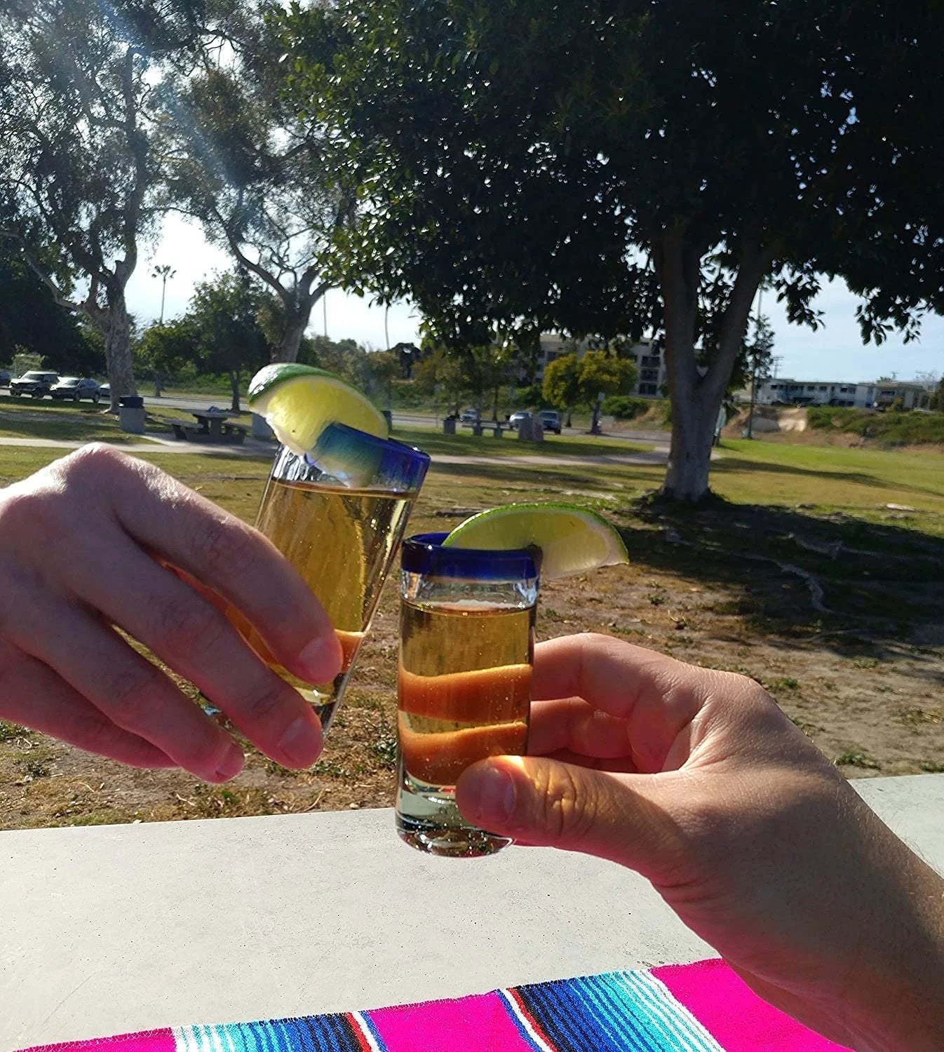 Cobalt Blue Rim Tequila Shot Glasses - Set of 6 (2 oz each) by Dos Sueños