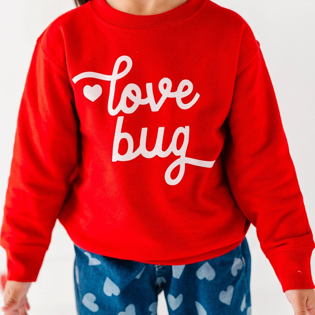 Love Bug toddler and youth Sweatshirt, Valentine's Day collection by Benny and Ray Apparel