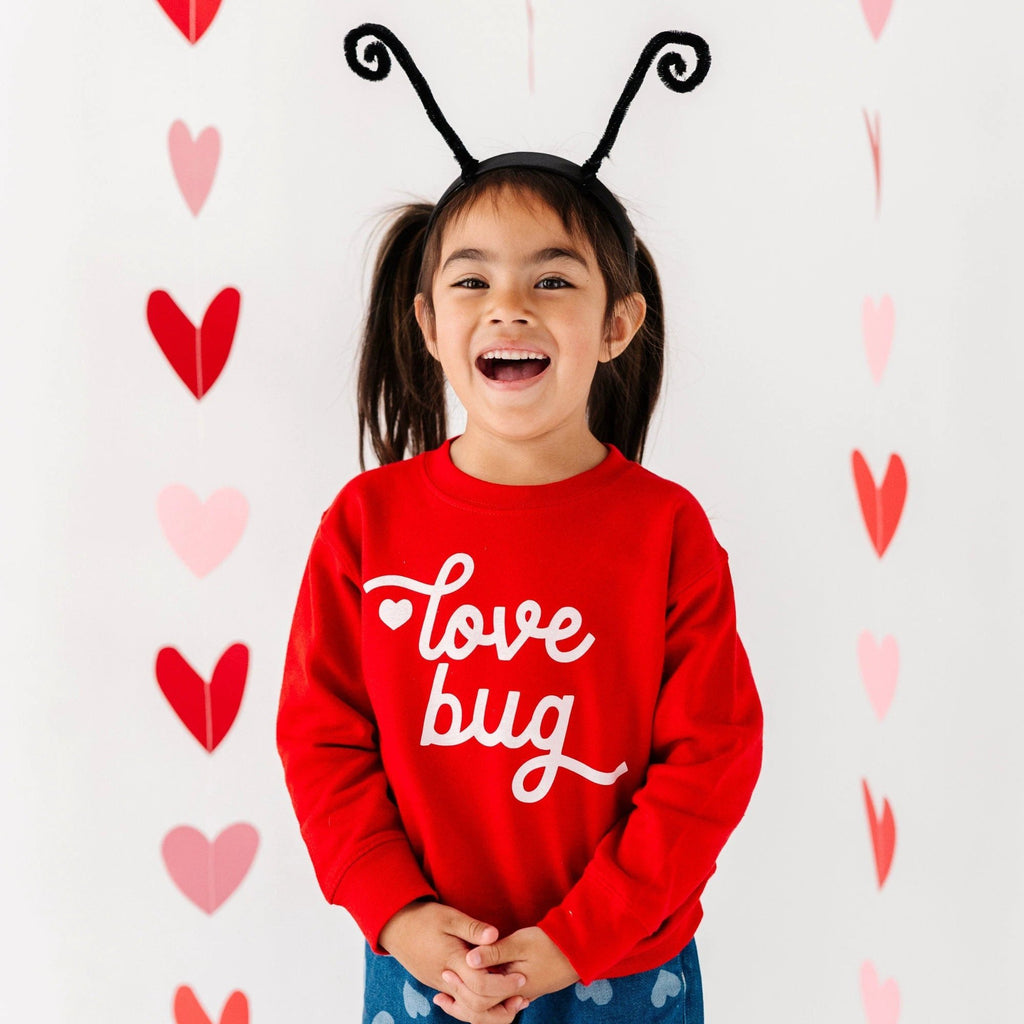 Love Bug toddler and youth Sweatshirt, Valentine's Day collection by Benny and Ray Apparel
