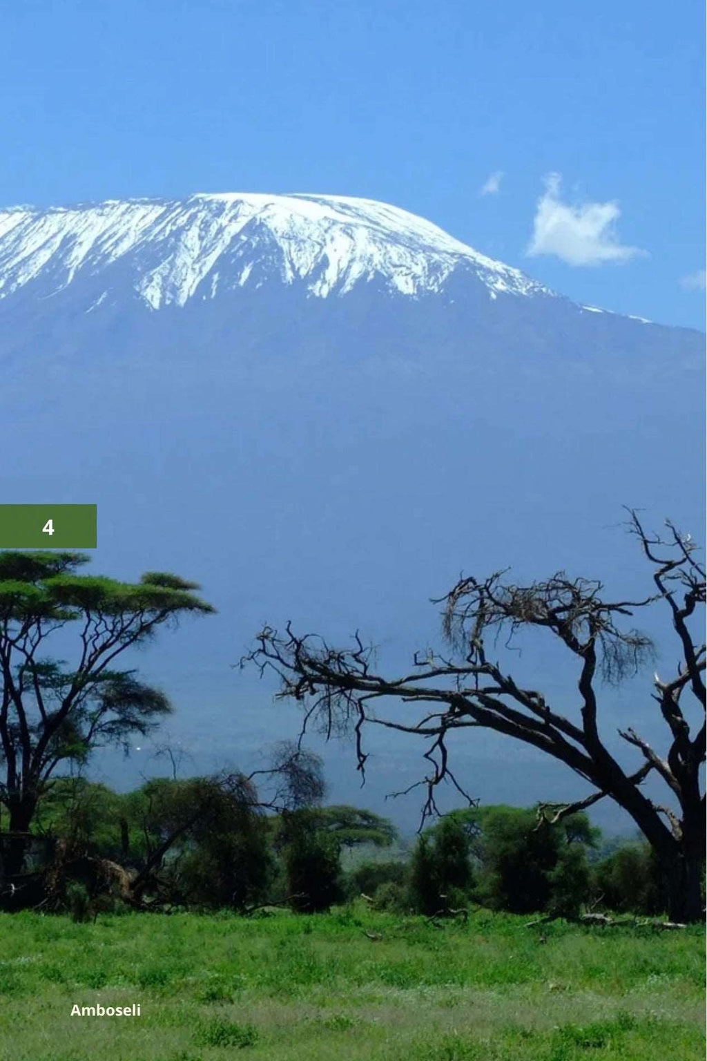 Nairobi Travel Planner of Kenya Safari Routes, Culture, & City Tips