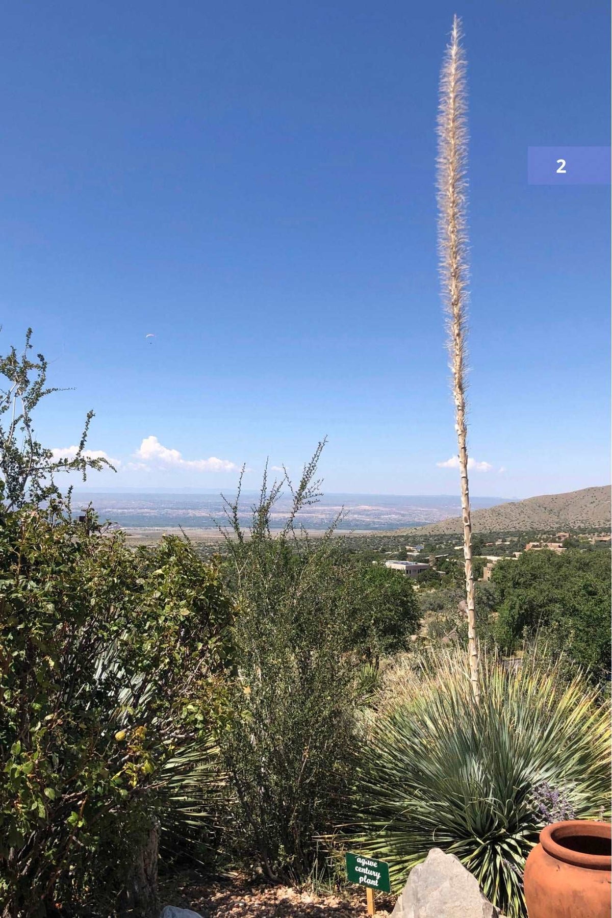 Albuquerque Visitor Guide & New Mexico Trip Planner