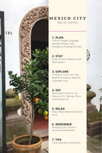 Mexico City Guidebook: Plan A Smooth Adventure for the Best Time