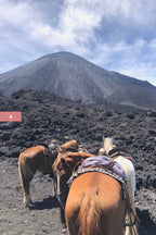 Antigua Guatemala Guide Books for Volcano Hikes & Cultural Tips