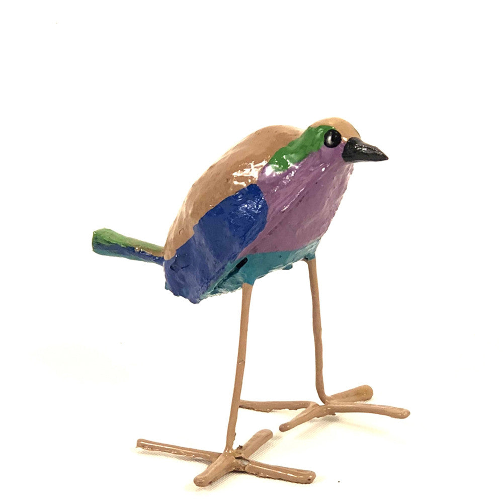 Seedpod Lilac Breasted Roller