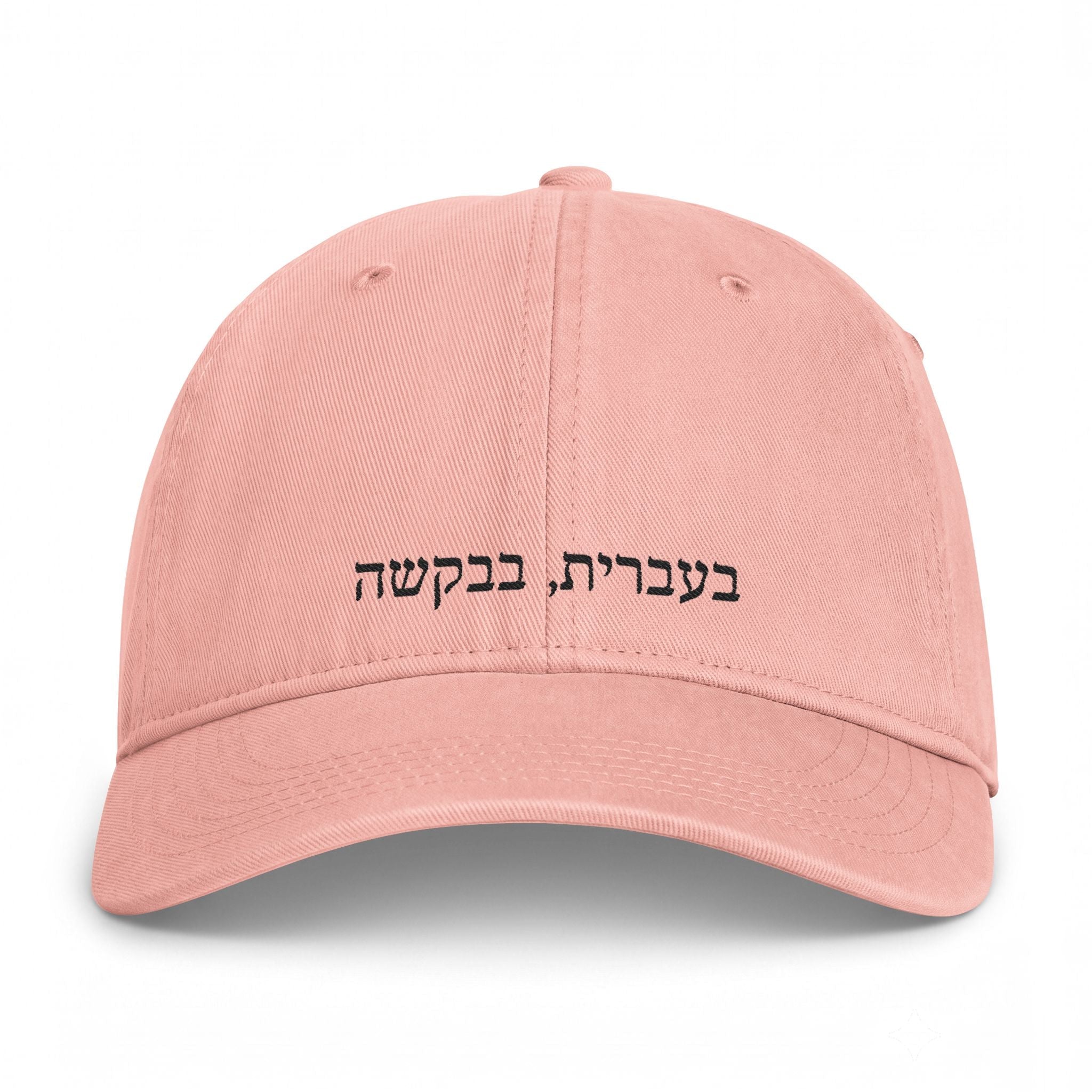 בעברית, בבקשה (In Hebrew, please) embroidered Baseball Cap, Coastal Washed Hat Hats La Vie Bien בעברית, בבקשה (In Hebrew, please) embroidered Baseball Cap, Coastal Washed Hat