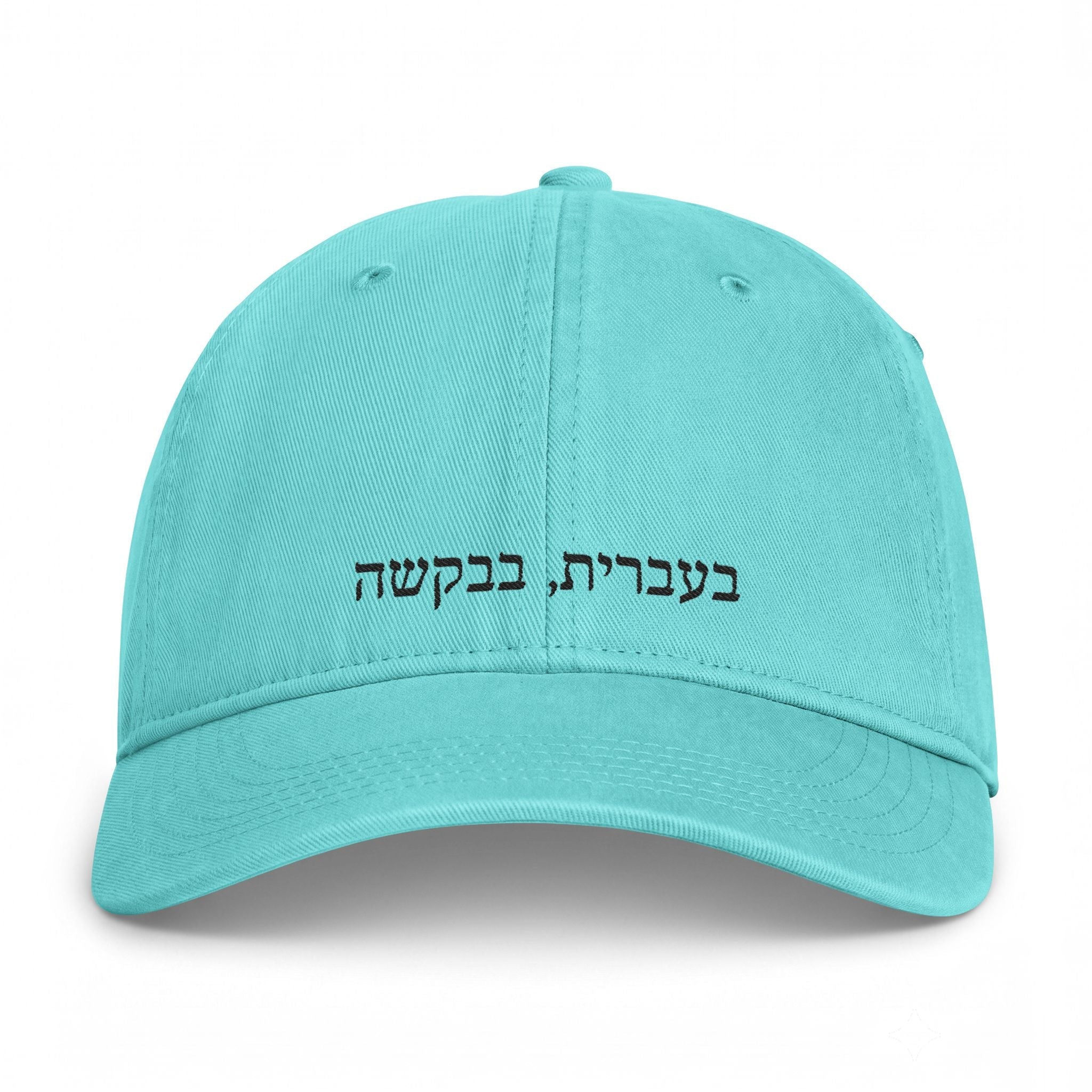 בעברית, בבקשה (In Hebrew, please) embroidered Baseball Cap, Coastal Washed Hat Hats La Vie Bien בעברית, בבקשה (In Hebrew, please) embroidered Baseball Cap, Coastal Washed Hat