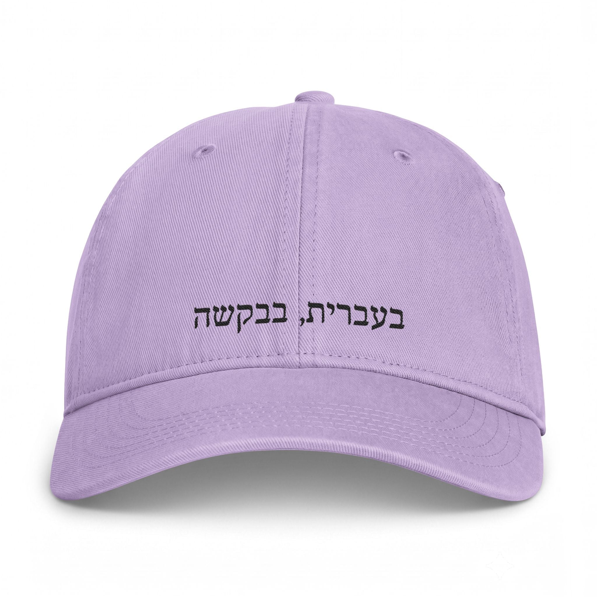 בעברית, בבקשה (In Hebrew, please) embroidered Baseball Cap, Coastal Washed Hat Hats La Vie Bien בעברית, בבקשה (In Hebrew, please) embroidered Baseball Cap, Coastal Washed Hat