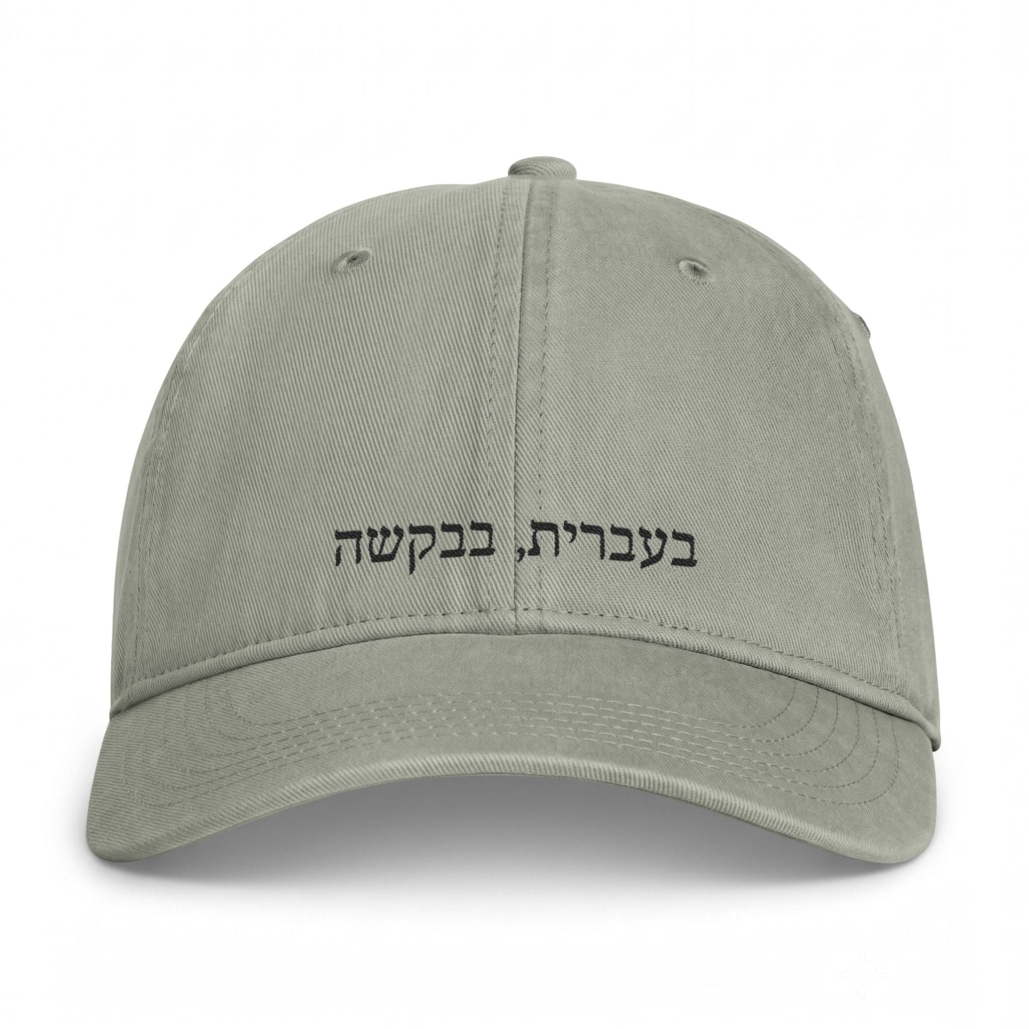 בעברית, בבקשה (In Hebrew, please) embroidered Baseball Cap, Coastal Washed Hat Hats La Vie Bien בעברית, בבקשה (In Hebrew, please) embroidered Baseball Cap, Coastal Washed Hat