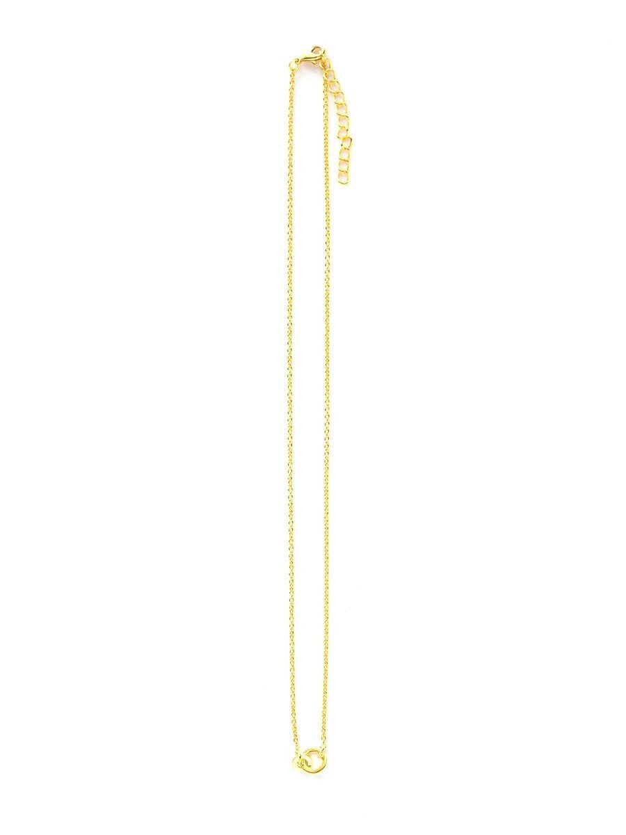 Interlocking Circles Friendship Necklaces