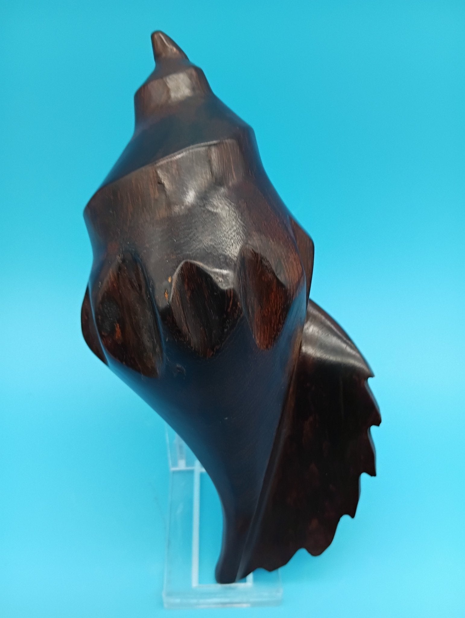 Ironwood Carved Conch Shell – 6.5" Coastal Decor Accent Wood Accent La Vie Bien Ironwood Carved Conch Shell – 6.5" Coastal Decor Accent