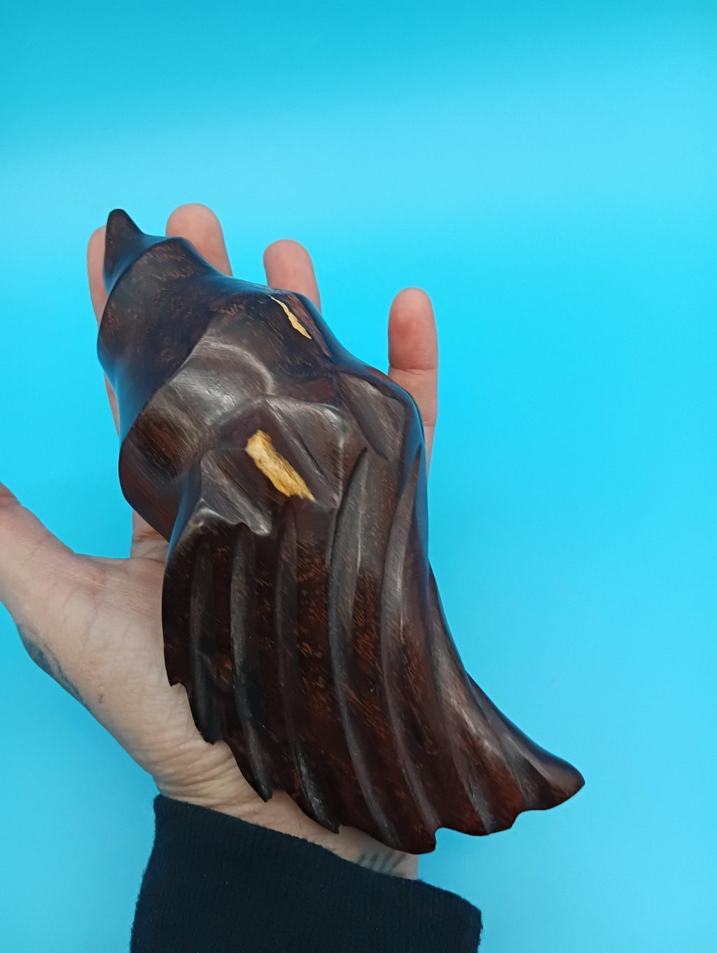 Ironwood Carved Conch Shell – 6.5" Coastal Decor Accent Wood Accent La Vie Bien Ironwood Carved Conch Shell – 6.5" Coastal Decor Accent