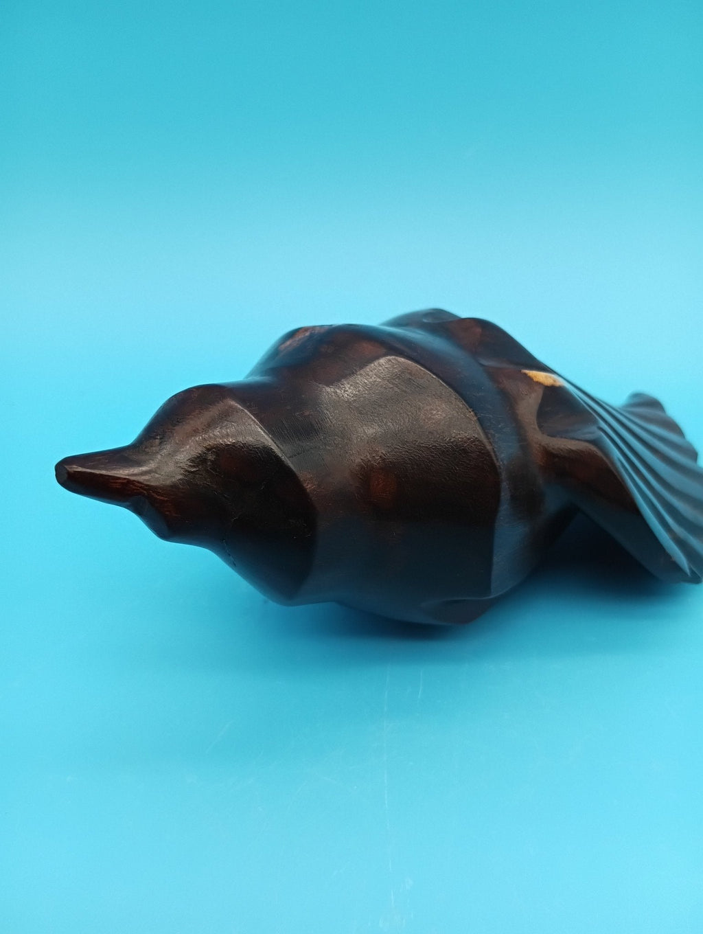 Ironwood Carved Conch Shell – 6.5" Coastal Decor Accent Wood Accent La Vie Bien Ironwood Carved Conch Shell – 6.5" Coastal Decor Accent
