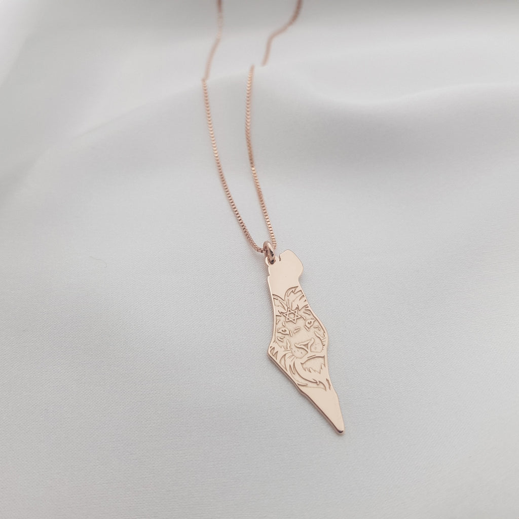 Israel Map Lion Star of David Necklace La Vie Bien Israel Map Lion Star of David Necklace