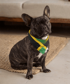 Jamaica Flag Bandana All-Over Print Bandana La Vie Bien Jamaica Flag Bandana