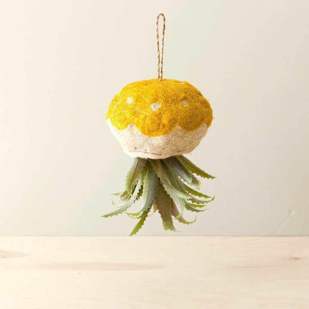 Jellyfish Air Planter - Handmade Planters | LIKHÂ by LIKHÂ