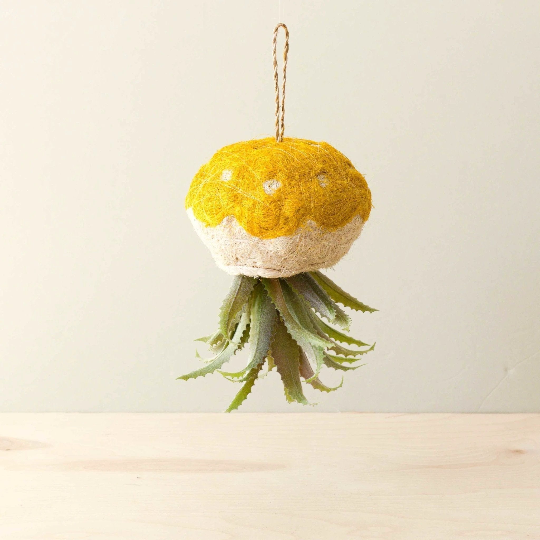 Jellyfish Air Planter - Handmade Planters | LIKHÂ by LIKHÂ