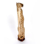 Cheetah Sitting