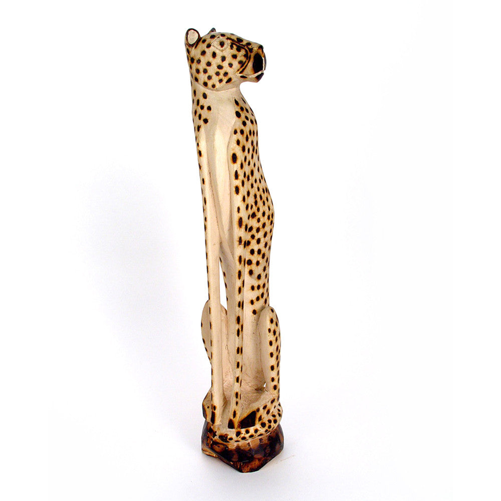 Cheetah Sitting