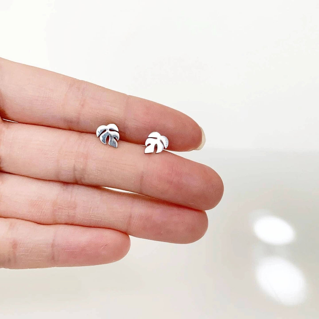 Rhaphidophora Tetrasperma Studs by JT Trading Post