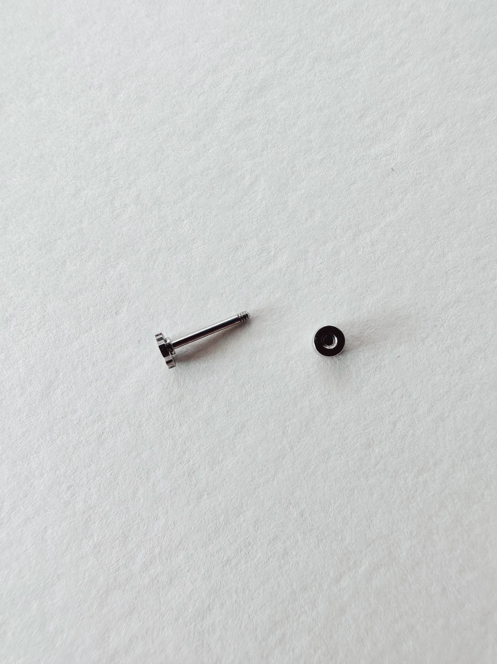 Flat Back Teeny Tiny Monstera Deliciosa Plant Studs by JT Trading Post