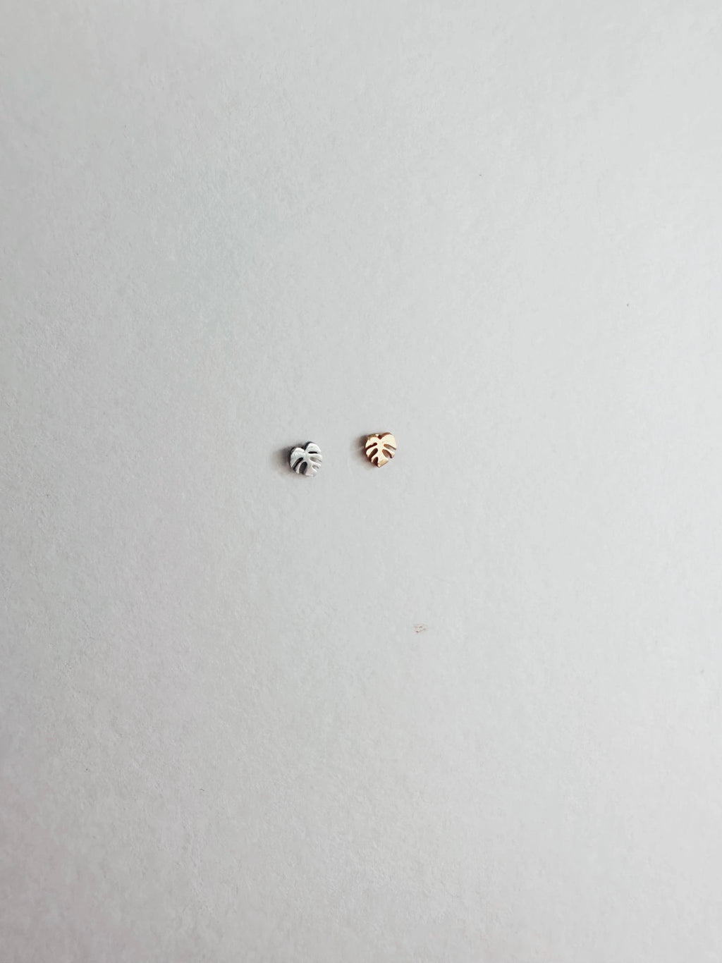 Flat Back Teeny Tiny Monstera Deliciosa Plant Studs by JT Trading Post