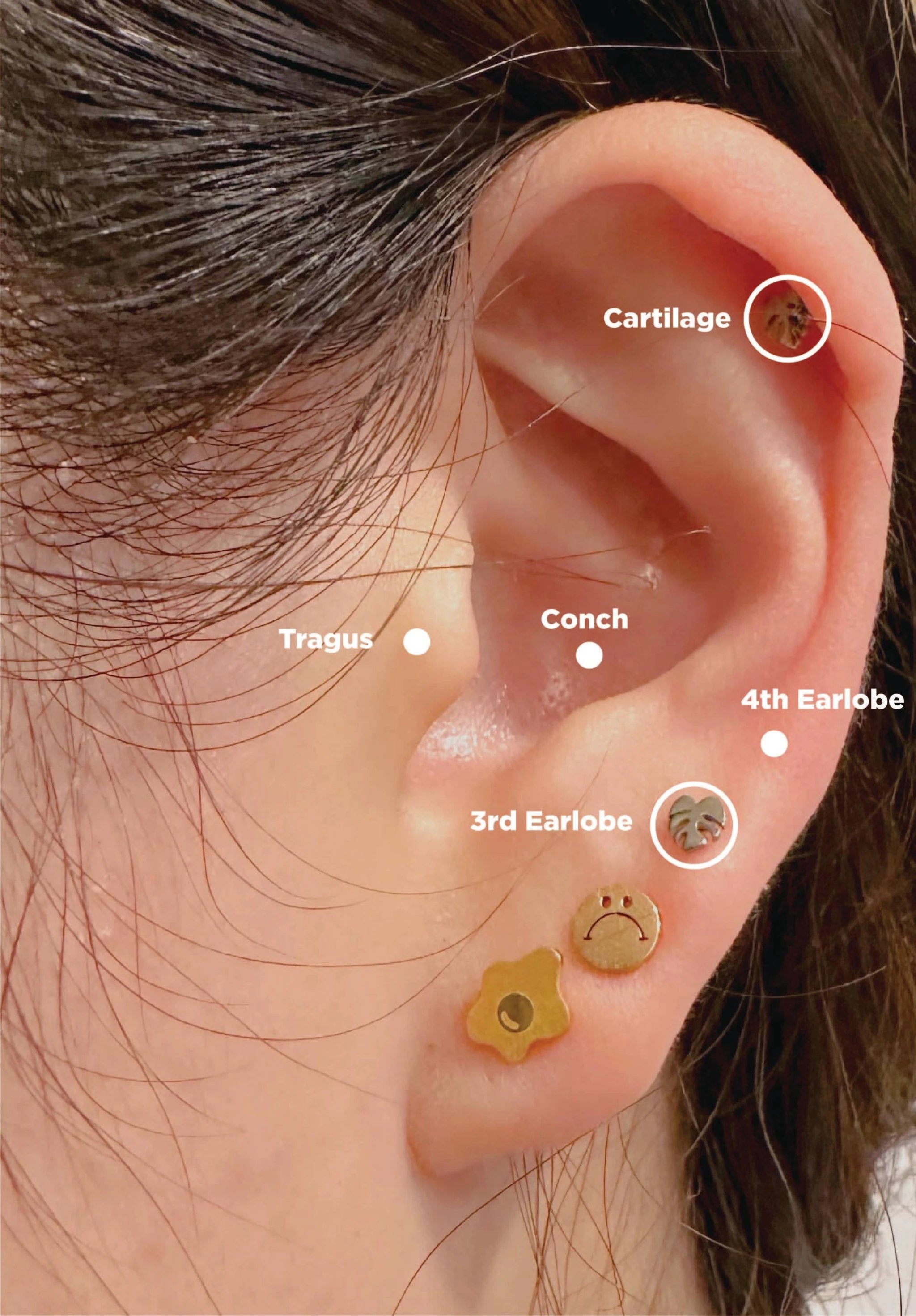 Flat Back Teeny Tiny Monstera Deliciosa Plant Studs by JT Trading Post