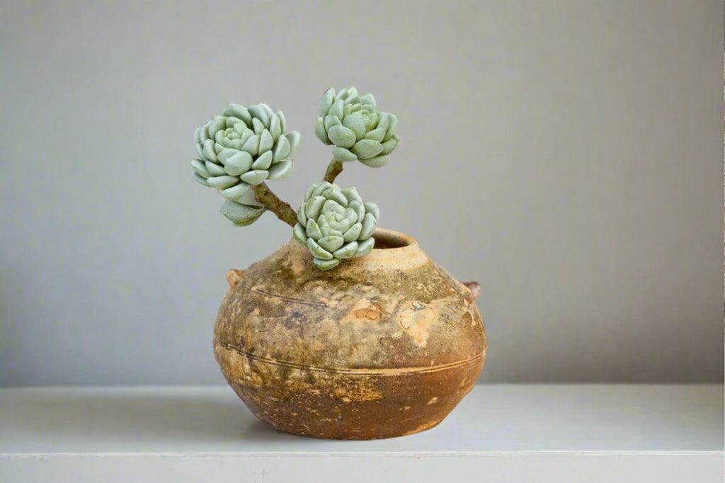 Korean Tribal Globular Pot Accents La Vie Bien Korean Tribal Globular Pot