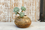 Korean Tribal Globular Pot Accents La Vie Bien Korean Tribal Globular Pot