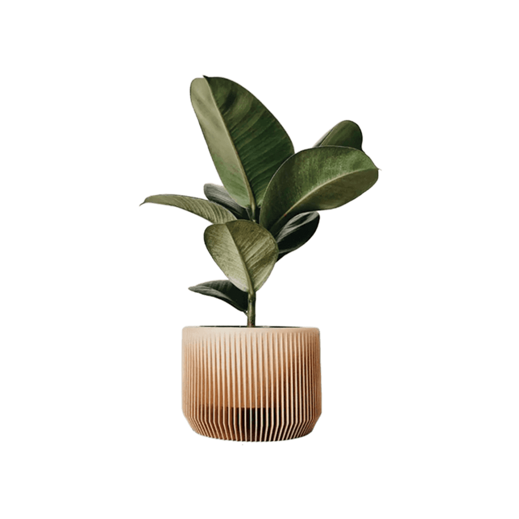 Kyrie Planter Planter La Vie Bien Kyrie Planter