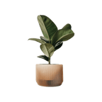 Kyrie Planter Planter La Vie Bien Kyrie Planter