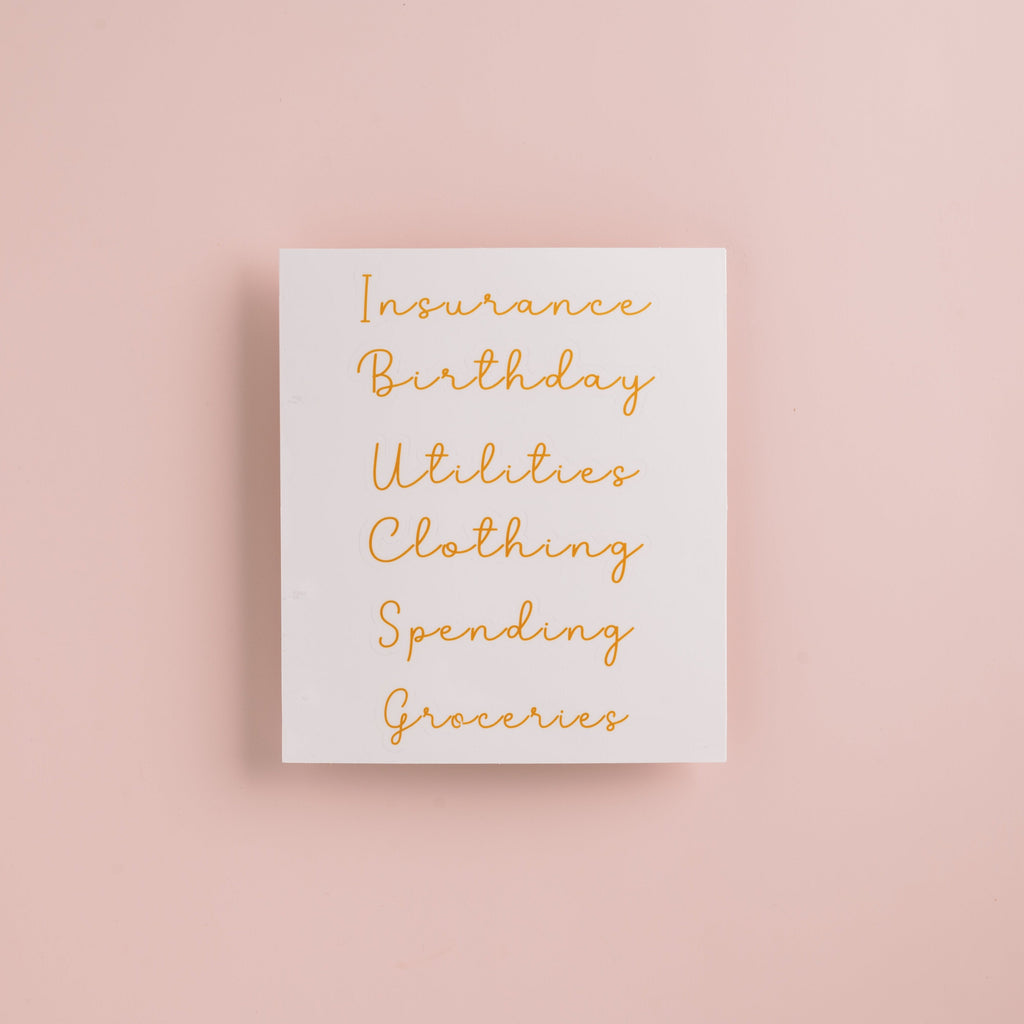 Self Care Budget Binder Kit