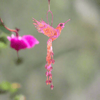 Large Hummingbird Seed Bead Handmade Ornament - Guatemala Decor La Vie Bien Large Hummingbird Seed Bead Handmade Ornament - Guatemala
