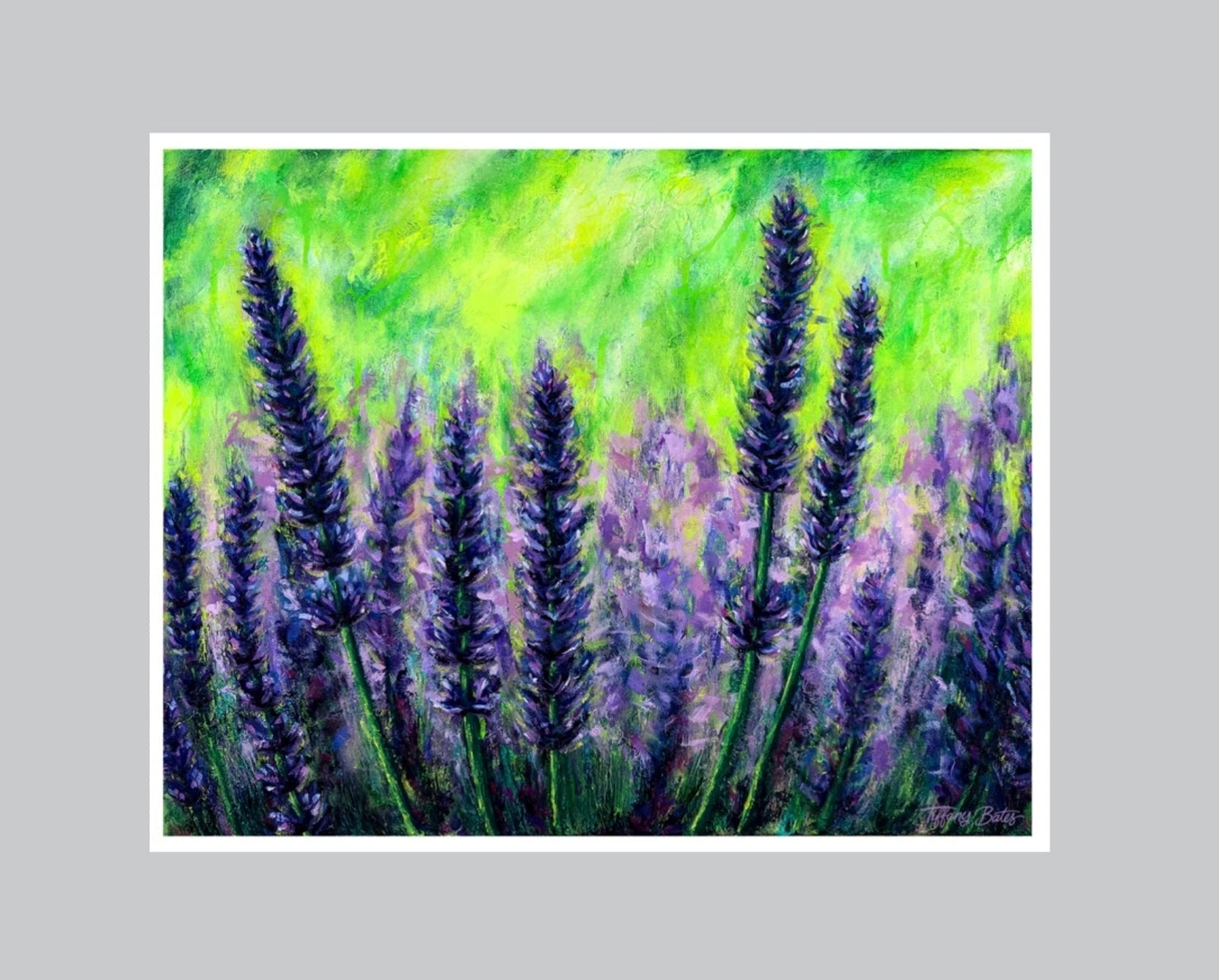 Lavendar Fields Forever - Fine Art Print - Multiple Sizes by Tiffany Bates Art