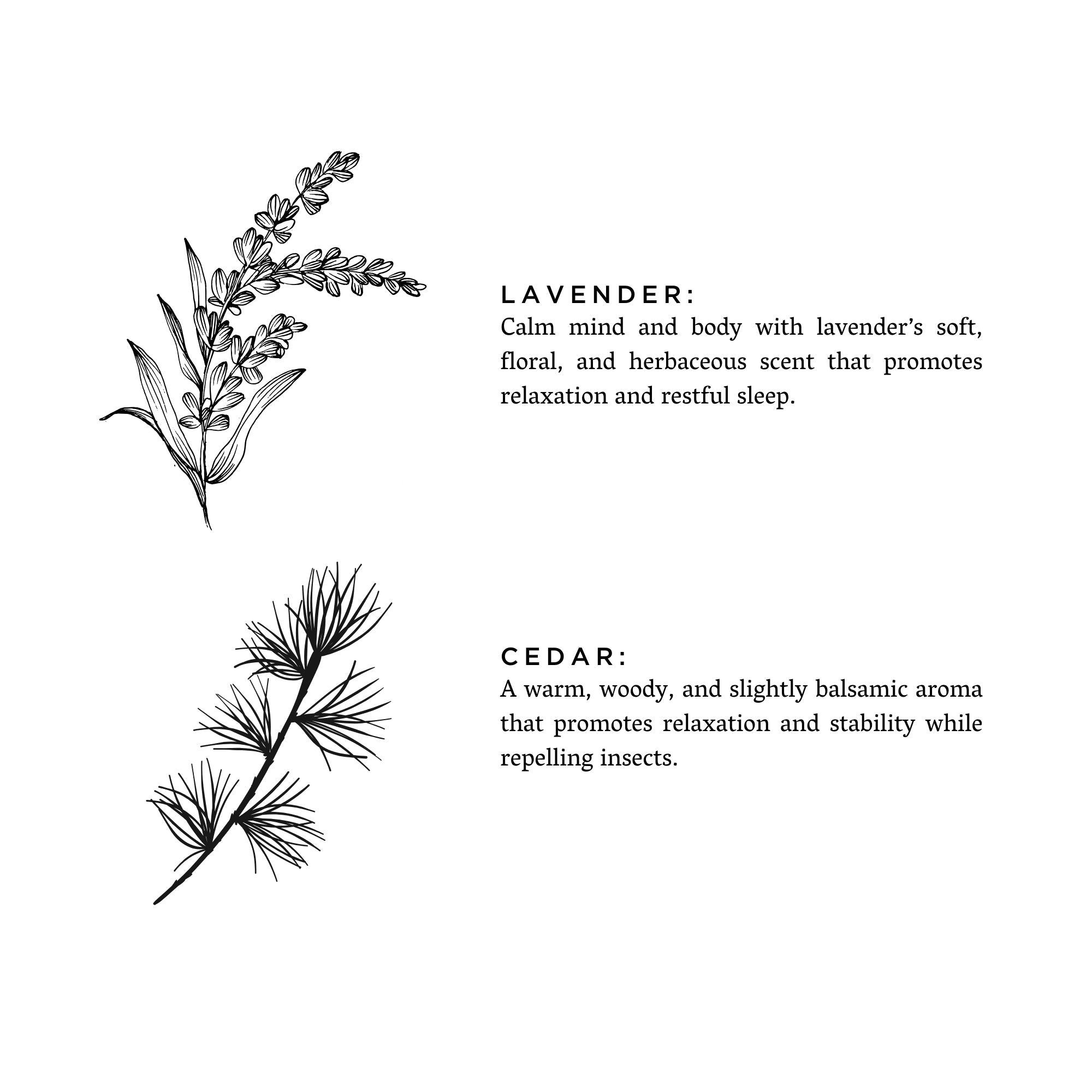 Lavender + Cedar - Signature Candle Frosted Candles La Vie Bien Lavender + Cedar - Signature Candle