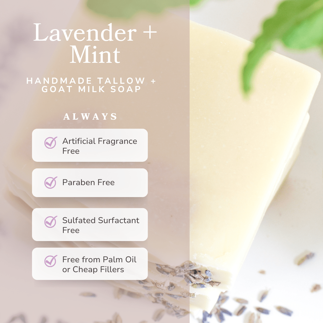 Lavender + Mint Handmade Tallow and Goat Milk Soap Bar Bar Soap La Vie Bien Lavender + Mint Handmade Tallow and Goat Milk Soap Bar