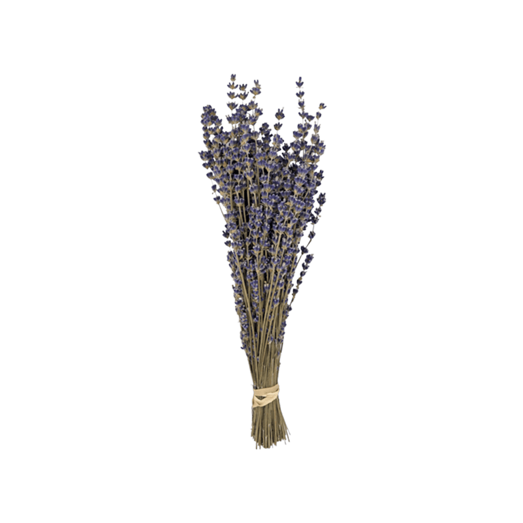 Lavender Preserved Bouquet