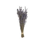 Lavender Preserved Bouquet