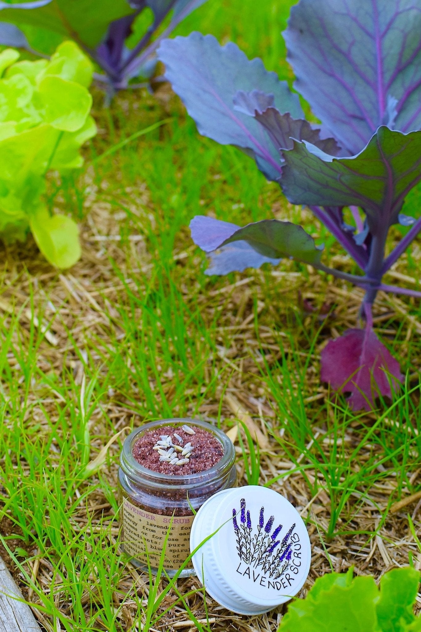Lavender Scrub by plant makeup