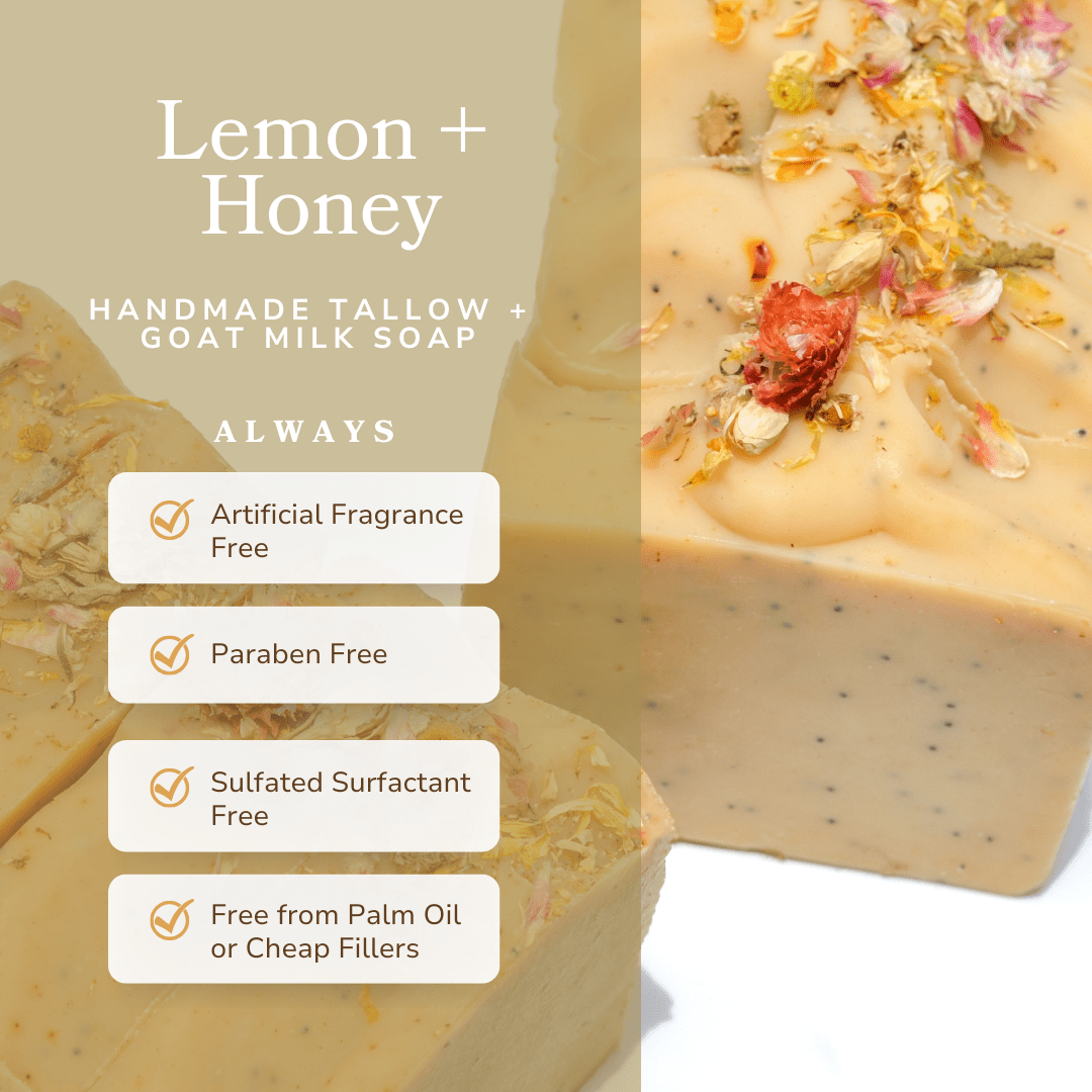 Lemon + Honey + Poppy Seed Handmade Tallow and Goat Milk Soap Bar Bar Soap La Vie Bien Lemon + Honey + Poppy Seed Handmade Tallow and Goat Milk Soap Bar