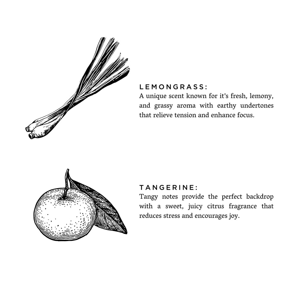 Lemongrass + Tangerine - Signature Candle Frosted Candles La Vie Bien Lemongrass + Tangerine - Signature Candle