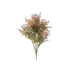Leucospermum Bush Stem