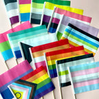 LGBTQ+ Pride Flag Party Mix Bundle Hand Flags La Vie Bien LGBTQ+ Pride Flag Party Mix Bundle